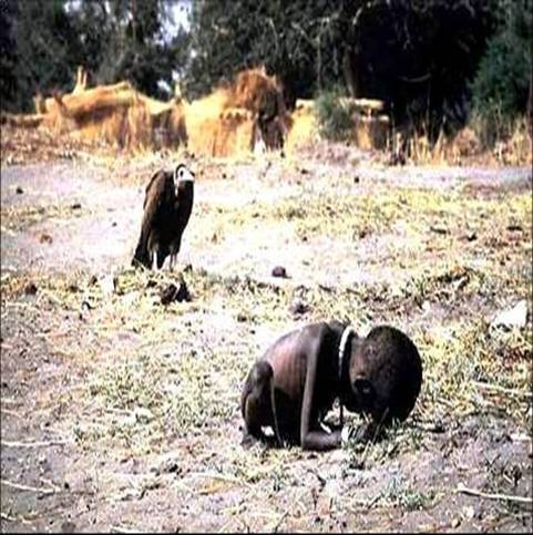 等待食物的秃鹫(吃死人肉的一种鸟类) 1993年苏丹大饥荒