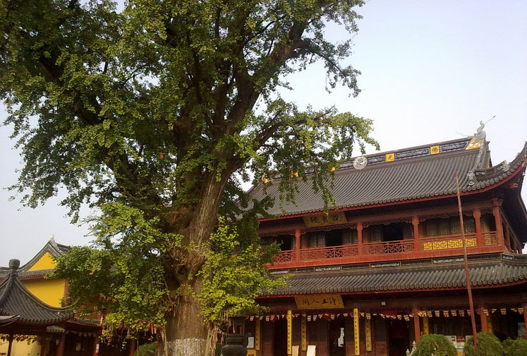 青浦报国寺