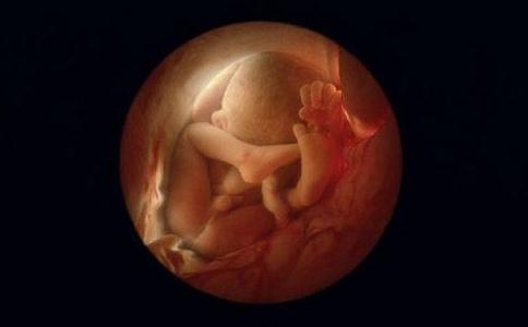 未出生的胎儿也是生命！堕胎等于杀人！就是在造恶业！