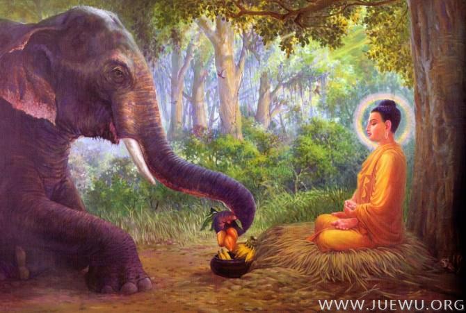 象王帕里雷亚卡在取食供养佛陀
